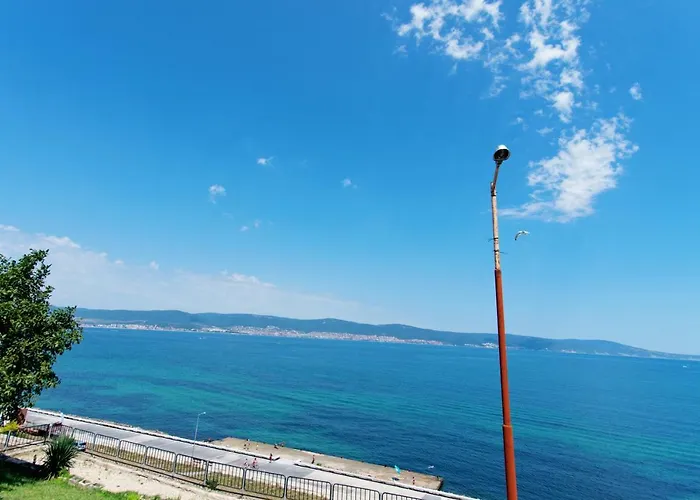 Mary Homes 内塞伯尔