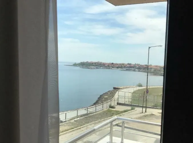 Mary Homes 内塞伯尔